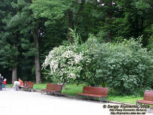 Трускавец, Львовская область. Фото. В Курортном парке города Трускавец.