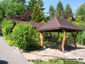 Трускавец, Львовская область. Фото. Ландшафтный парк «Підгір'я».