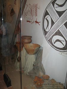 Киевская область. Фото. Частный музей Трипольской культуры. Экспозиция музея.