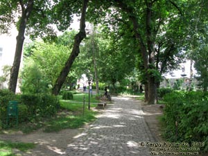 На территории Ужгородского замка. Фото. В парке.