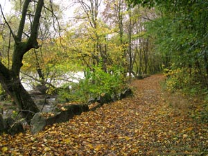 Винничина. Фото. Печора. «Печерский парк» вдоль Буга.
