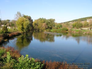 Винничина. Фото. Буша. Заводь на реке Бушанка.