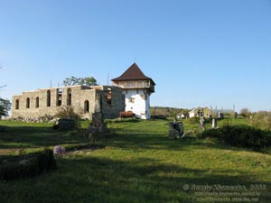 Винничина. Фото. Буша. Отстроенная башня крепости.