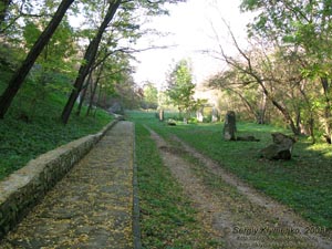 Винничина. Фото. Буша. По дороге к скальному храму вдоль речки Бушанка.