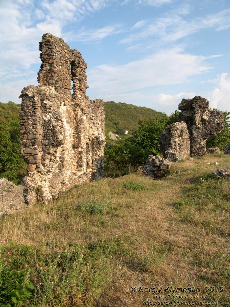Закарпатская область. Виноградов. Фото. Руины замка (Угочанской крепости). Северо-восточная стена, вид изнутри замка.