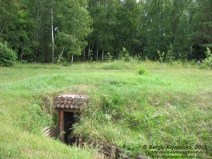 Новые Петривцы, государственный музей-заповедник «Битва за Киев в 1943 году»