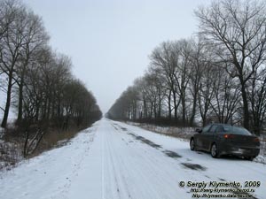 Тернопольская область. Фото. Дорогой от поселка городского типа Гримайлов на Скалат.