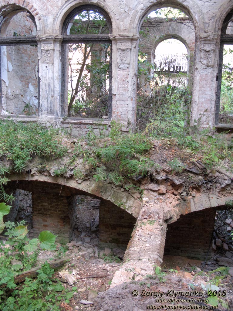 Львовщина. Село Тартаков. Фото. Дворец в Тартакове. Вид здания изнутри.