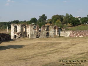 Тернопольская область, село Подзамочек. Фото. Замок Творовских (1600 год). Руины дворца. Вид с внутреннего двора крепости.