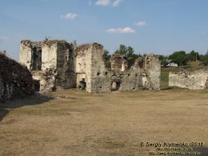 Тернопольская область, село Подзамочек. Фото. Замок Творовских (1600 год). Руины дворца. Вид с внутреннего двора крепости.