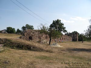 Тернопольская область, село Подзамочек. Фото. Замок Творовских (1600 год). Западная стена крепости. Вид снаружи крепости.