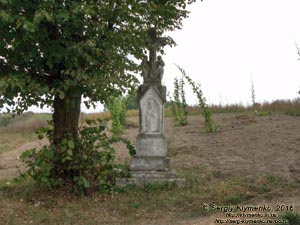 Львовская область, возле села Верин. Фото. Крест у грунтовой дороги между Верином и урочищем «Прыйма» (49°29'38"N, 25°59'46.50"E).