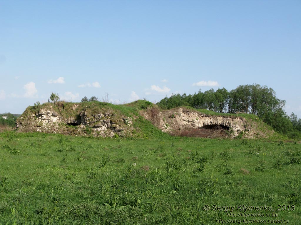 Зализцы (Тернопольская область). Фото. Руины Залозецкого замка.