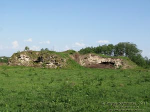 Зализцы (Тернопольская область). Фото. Руины Залозецкого замка.