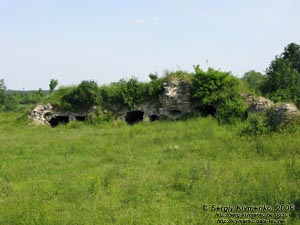 Зализцы (Тернопольская область). Фото. Руины Залозецкого замка.