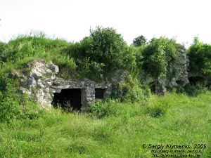 Зализцы (Тернопольская область). Фото. Руины Залозецкого замка.