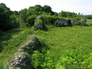 Зализцы (Тернопольская область). Фото. Руины Залозецкого замка.