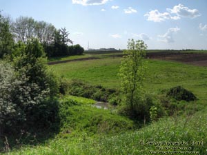 Зборов (Тернопольская область). Фото. Тут, на берегах речки Стрыпа, в 1649 году проходила Зборовская битва.