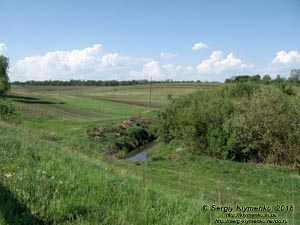 Зборов (Тернопольская область). Фото. Тут, на берегах речки Стрыпа, в 1649 году проходила Зборовская битва.