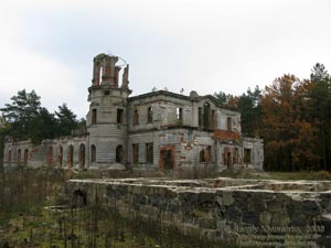 Житомирщина. Дениши. Фото. Руины дворца Терещенко.