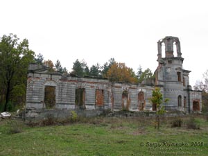Житомирщина. Дениши. Фото. Руины дворца Терещенко.