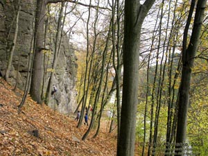 Житомирщина. Дениши. Фото. Живописные скалы немного ниже дамбы на Тетереве весьма популярны среди альпинистов-скалолазов.