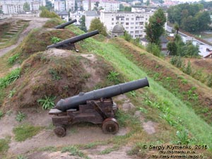 Львовская область. Золочев. Фото. Золочевский замок. Орудия северо-западного бастиона и вид с бастиона на город.